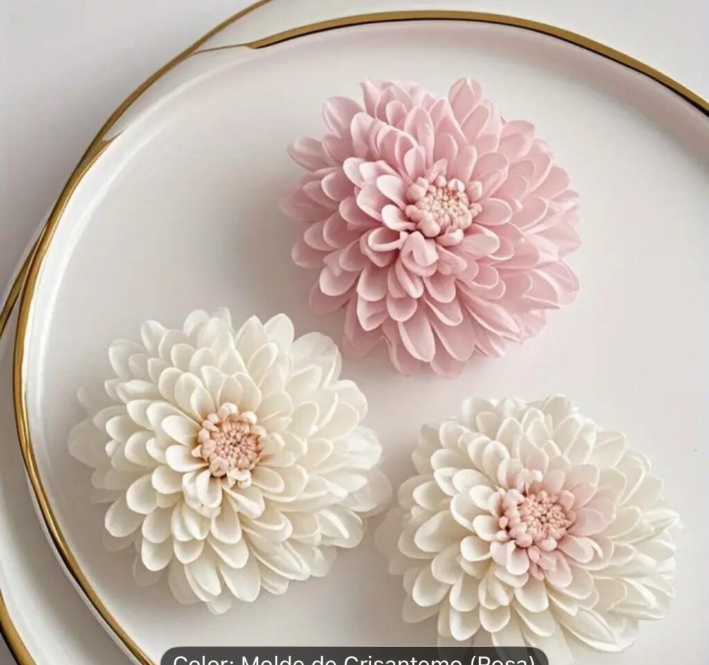 whatsapp image 2025 11 13 at 00.41.28