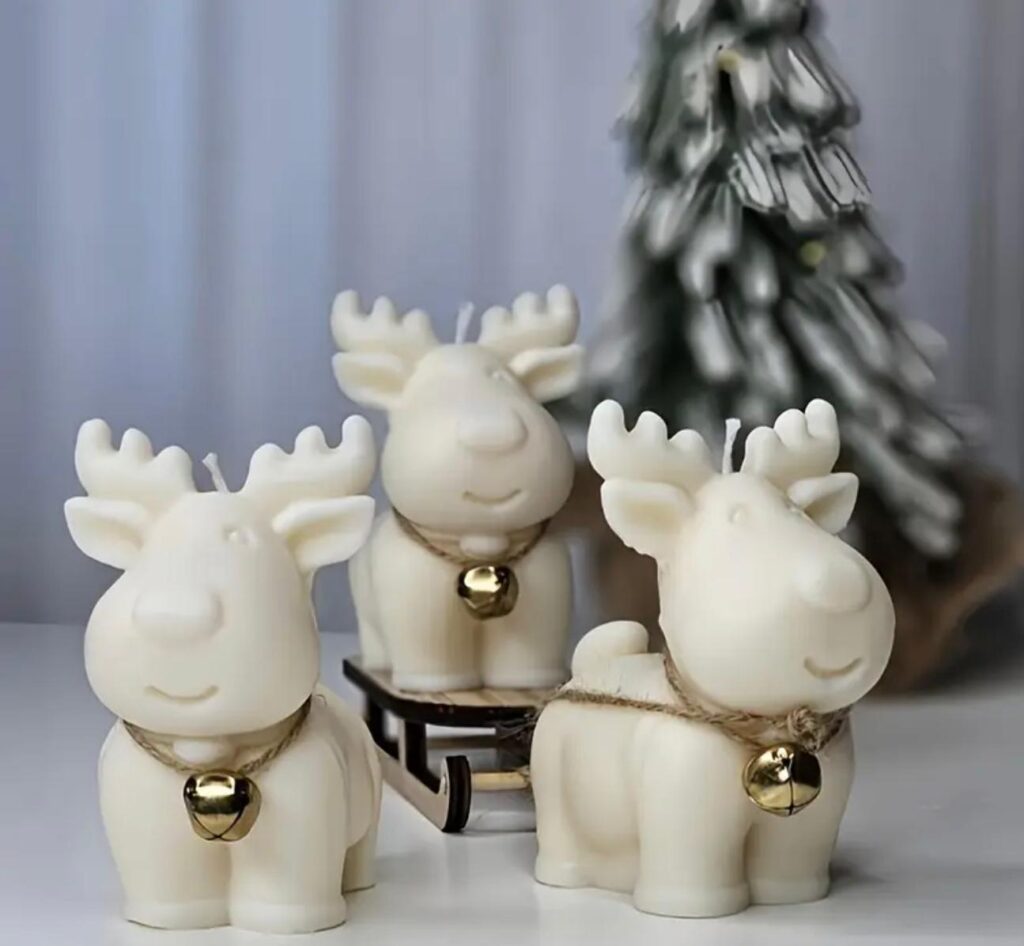 whatsapp image 2025 12 16 at 23.19.42